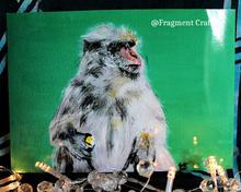 Load image into Gallery viewer, A print copy of an acrylic painting of a green background with a Barbary Macaque monkey sitting eating an apple looking to its left.
