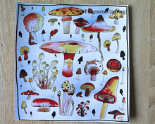 Load image into Gallery viewer, A colourful print illustration of Autumn Mushrooms being shown on a desk.
