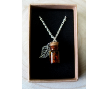 Load image into Gallery viewer, A boxed silver necklace with a leaf and small corked bottle of red jasper crystals.
