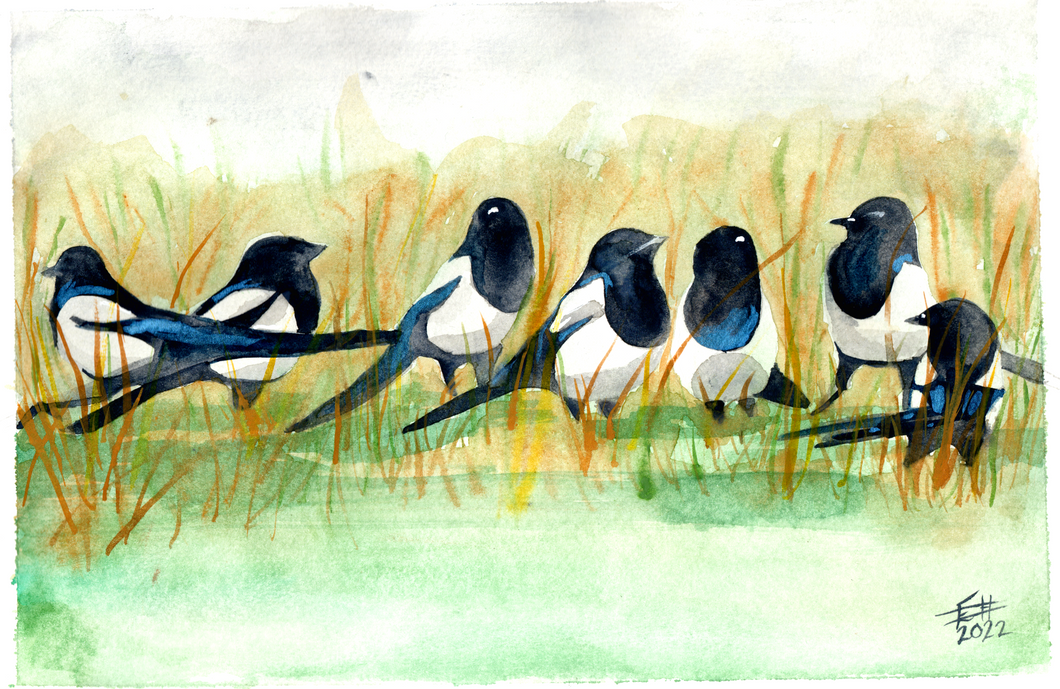 Seven for a Secret Original Watercolour Painting