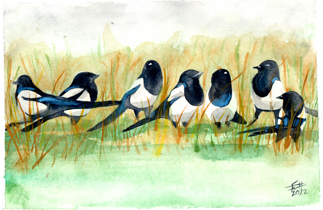 Seven for a Secret Print