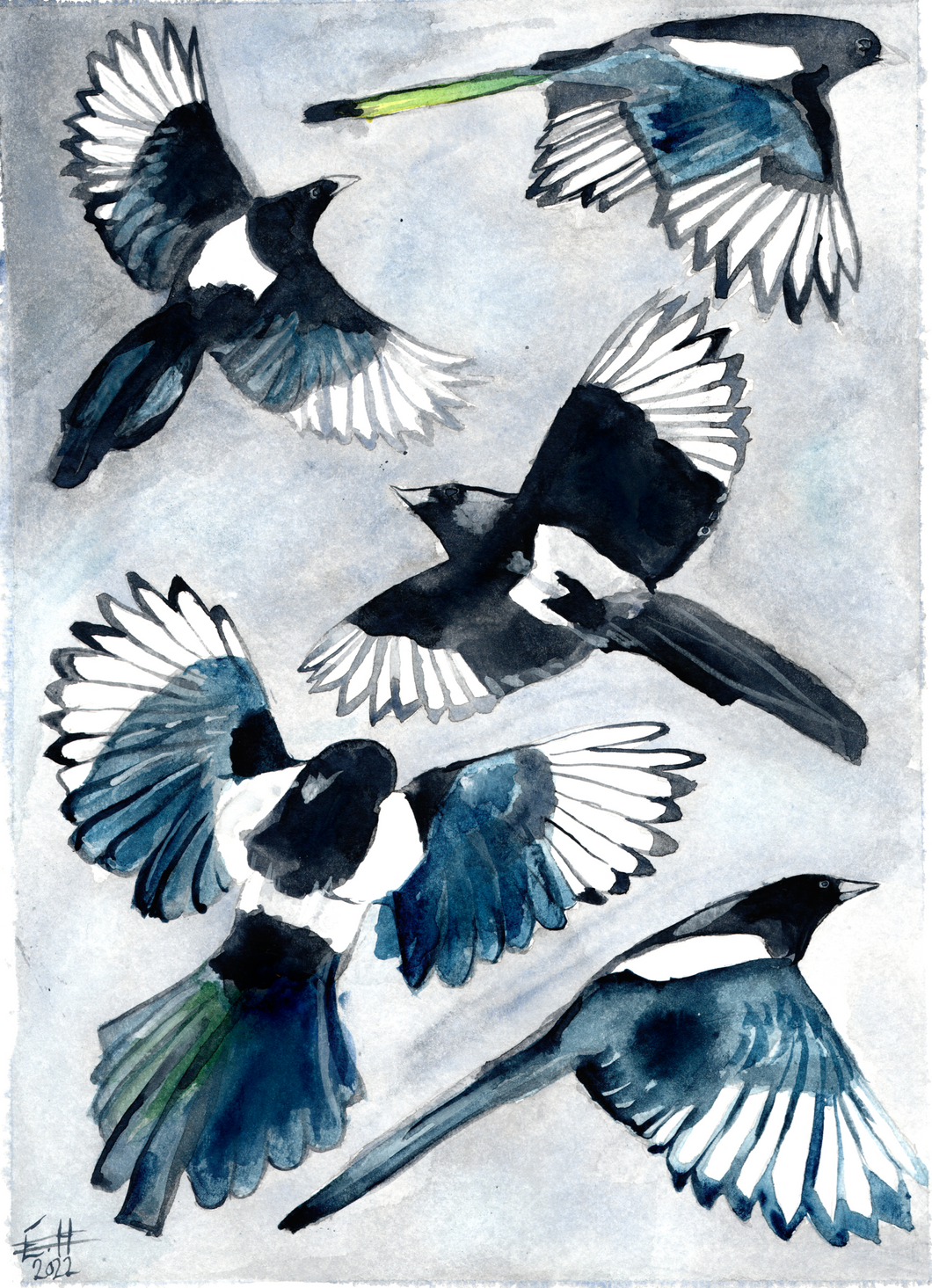 Five for Silver Print